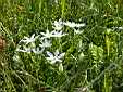 image_014.JPG