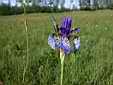 image_017.JPG