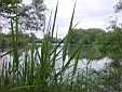 image_044.JPG