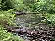 image_045.JPG