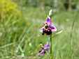 image_060.JPG